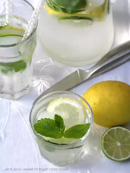 Rafrachissante limonade aux deux citrons et  la menthe