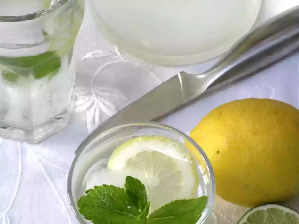 Rafraîchissante limonade aux deux citrons et à la menthe