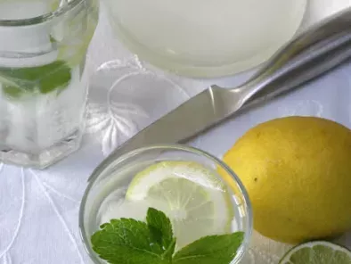 Rafraîchissante limonade aux deux citrons et à la menthe
