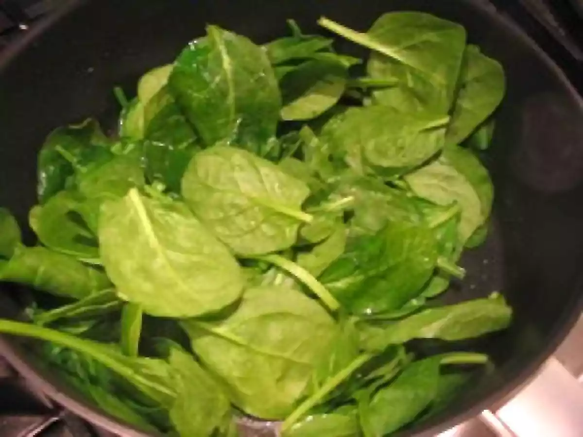 Raviolis au saumon et aux herbes - photo 4