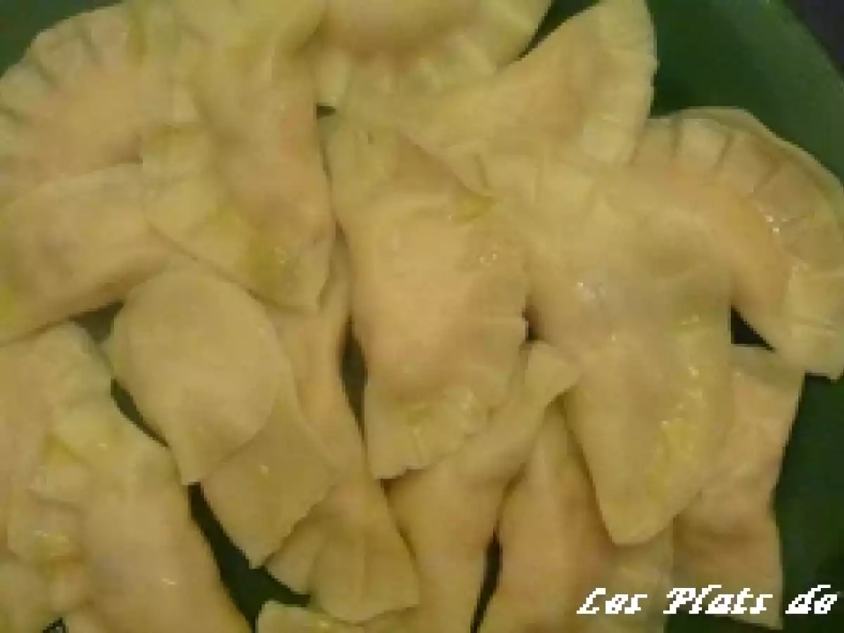 Raviolis au saumon frais