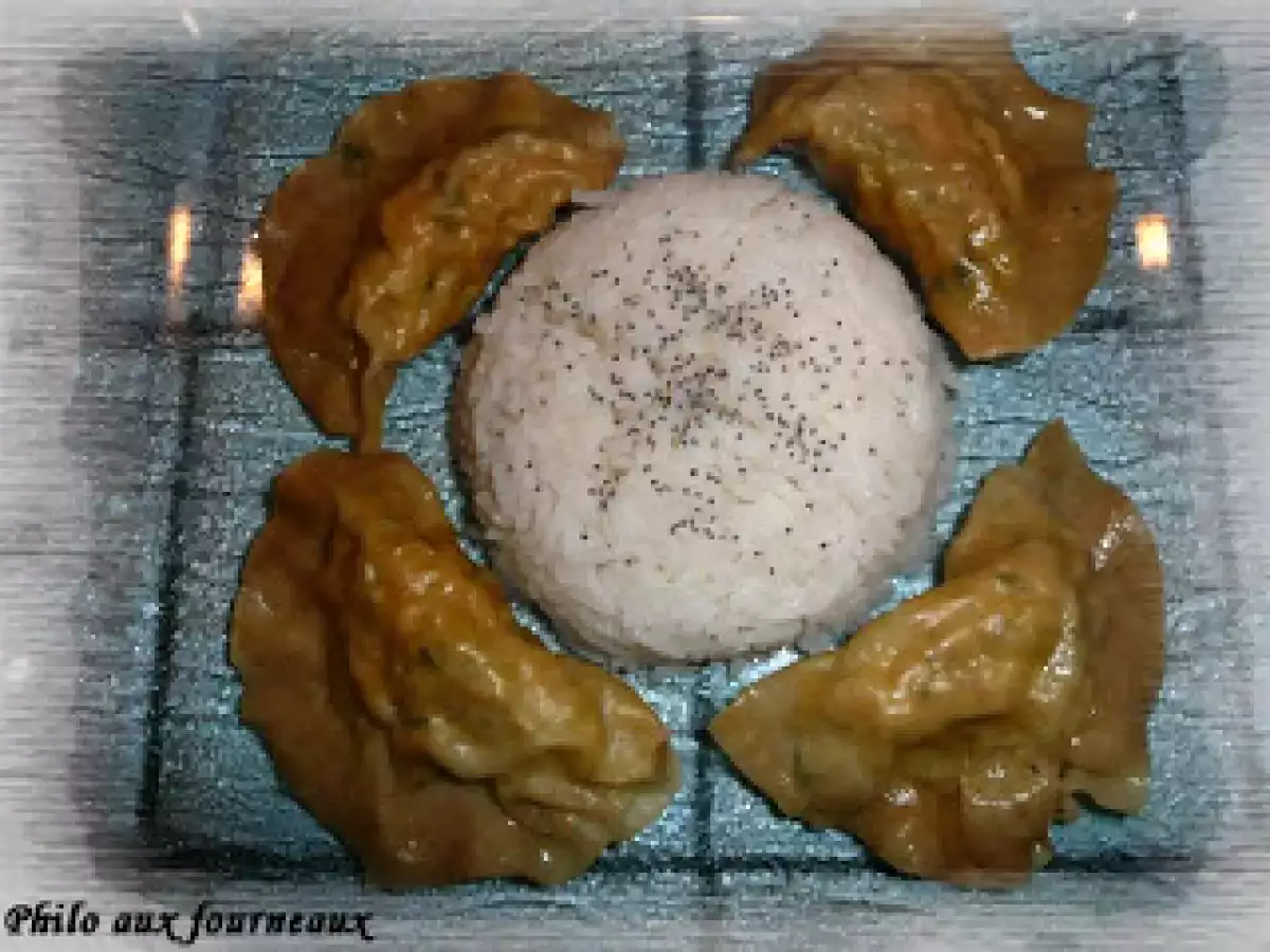 Raviolis de won-ton au poulet & à la courgette - photo 2