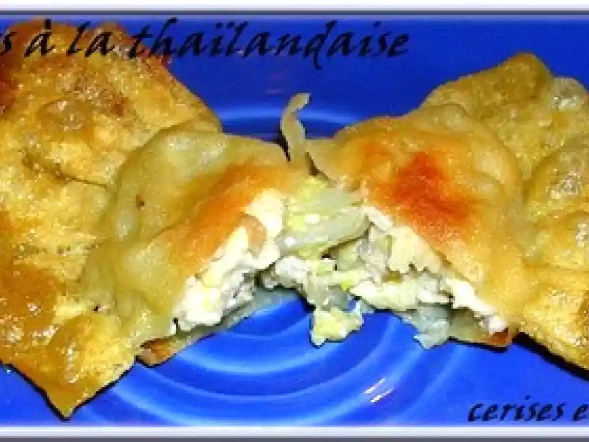 RAVIOLIS FRITS A LA THAILANDAISE - photo 2