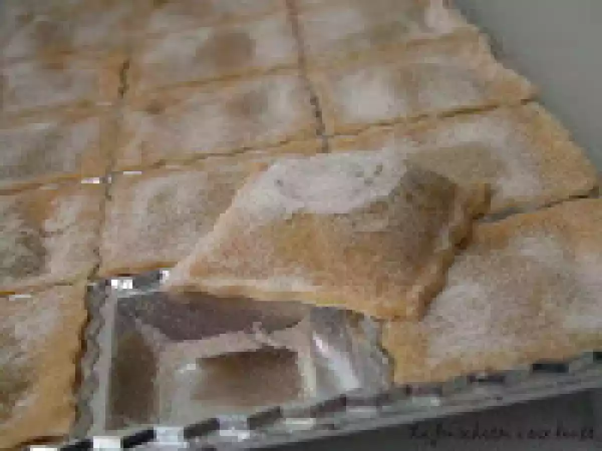 Raviolis maison aux restes de daube - photo 2