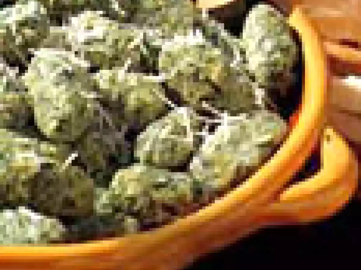 Raviolis nudi (délice florentin sans pâte)