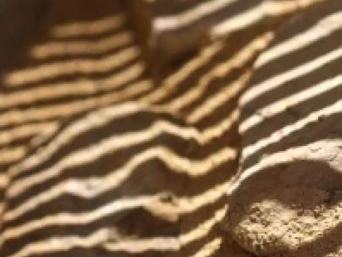 Raviolis vapeur à la crevette ou Ha Cao