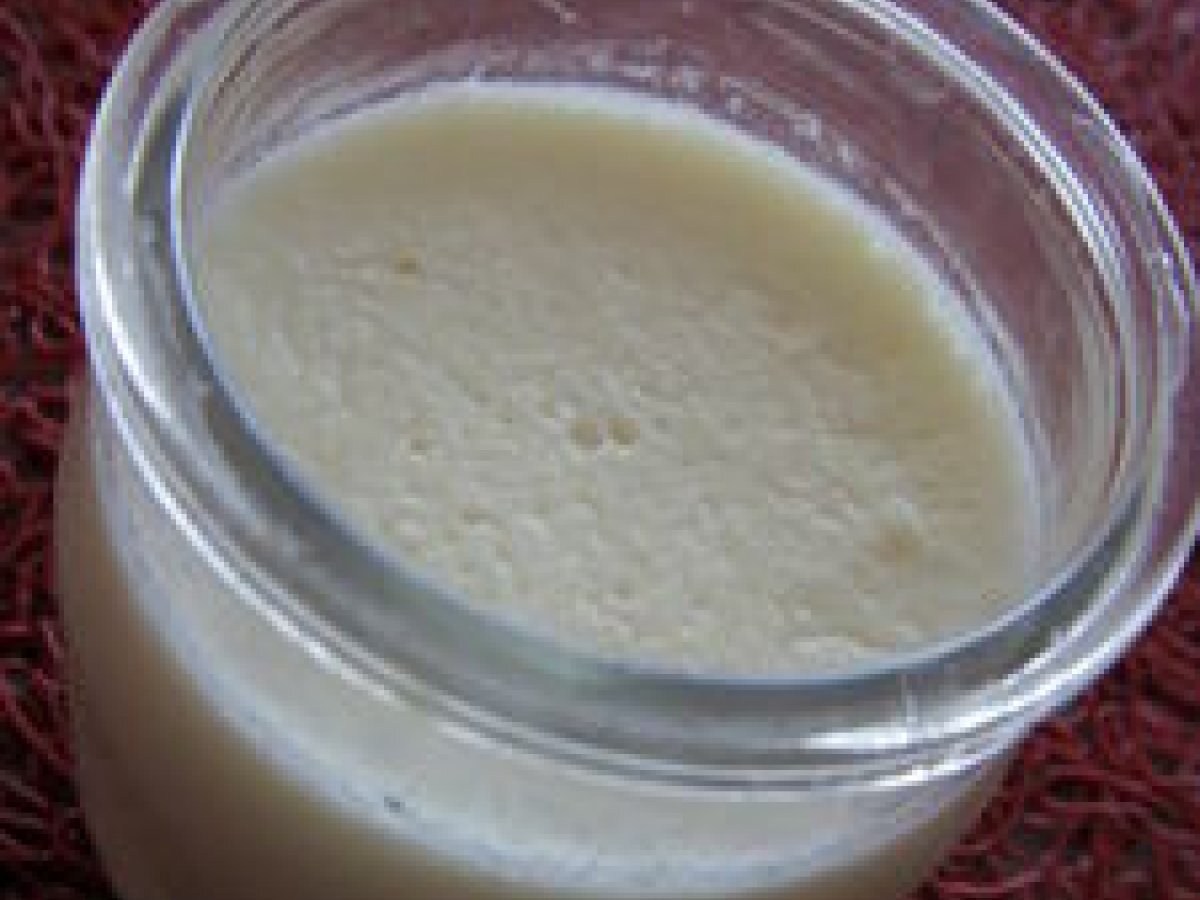 Recette de yaourt à l'agar-agar maison facile