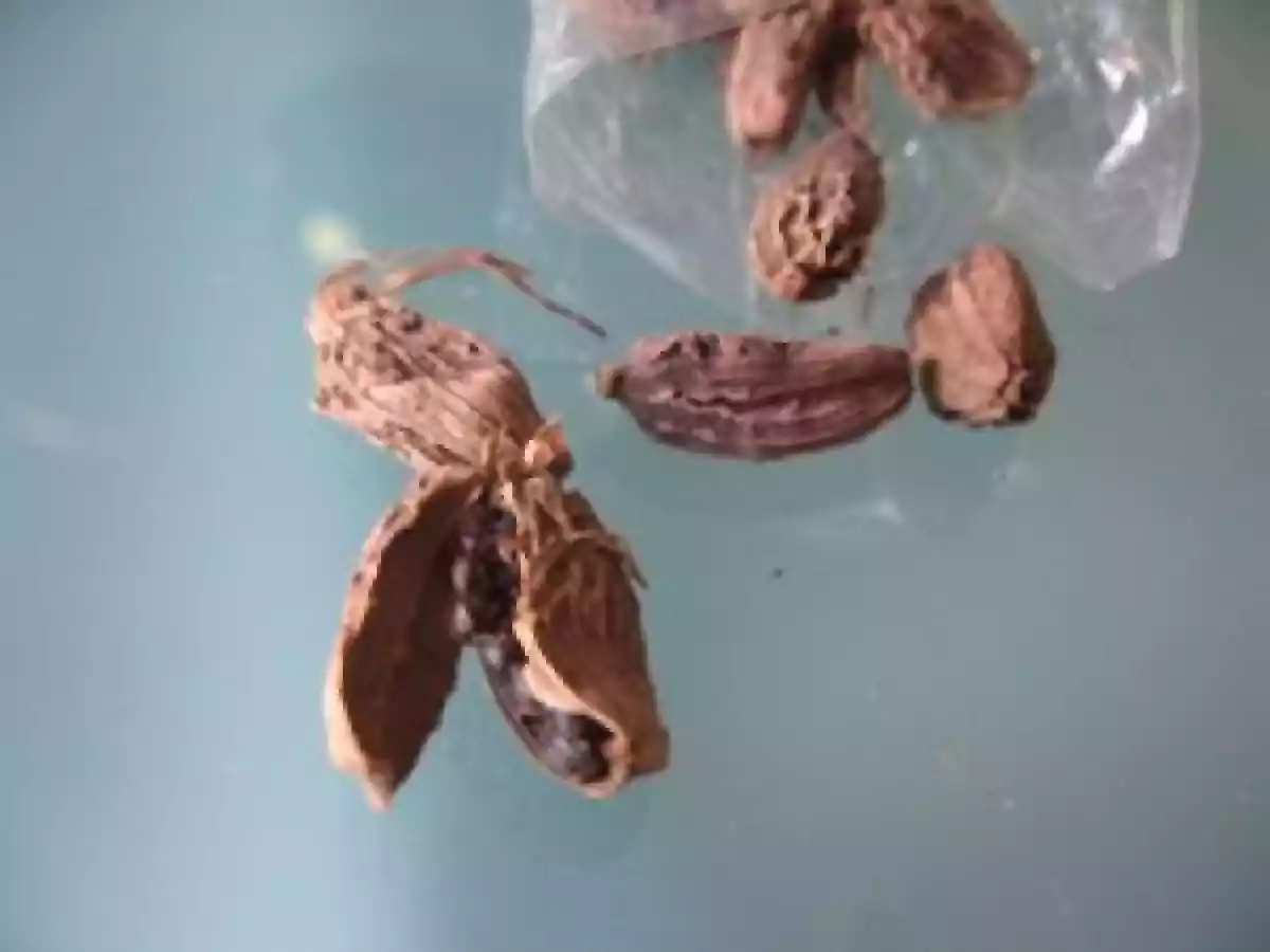 Risotto à la cardamome noire et haricots verts pour Minouchkah - photo 3