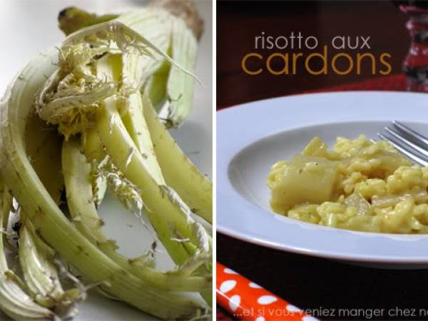 Risotto aux cardons