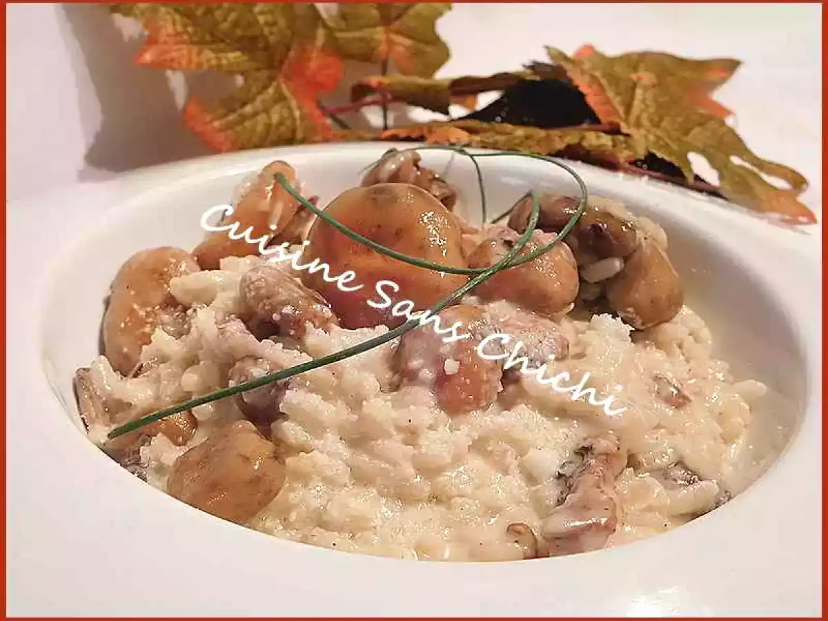 Risotto aux sanguins.