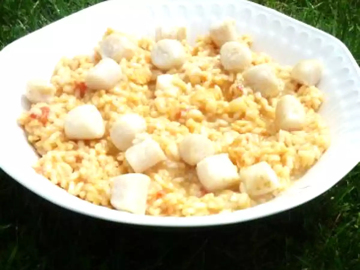 Risotto aux tomates et Saint-Jacques poêlées