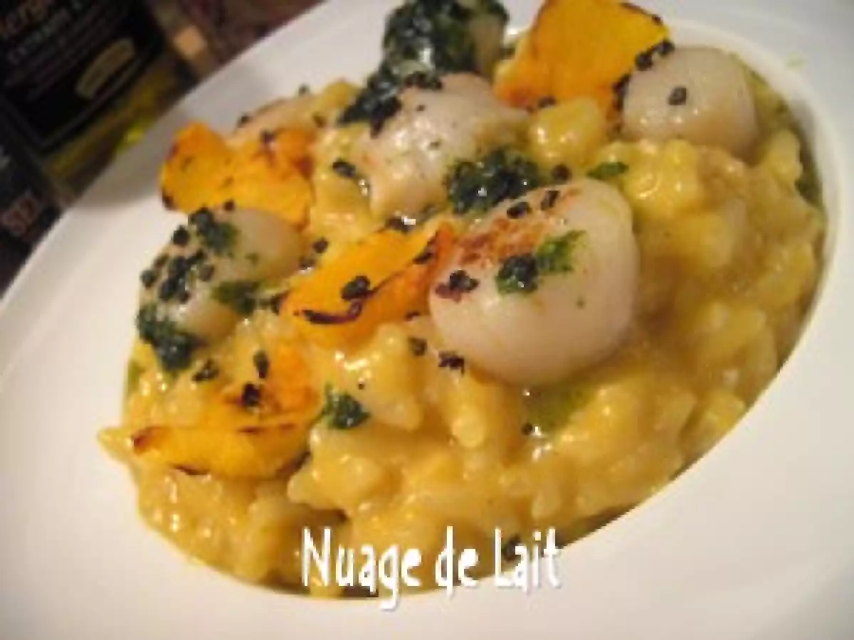 Risotto de Potiron aux Pétoncles et Huile de Coriandre - photo 3