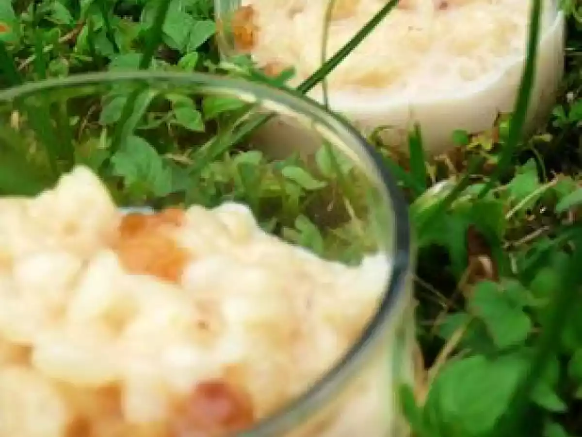 RiZ AU LAiT RHUM RAiSiNS