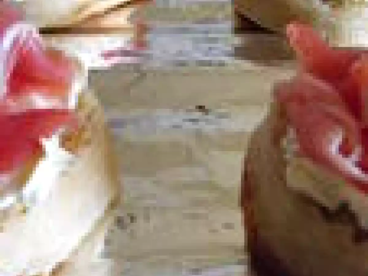 Rosace de jambon cru sur lit de crumpet tartiné de kiri - photo 5