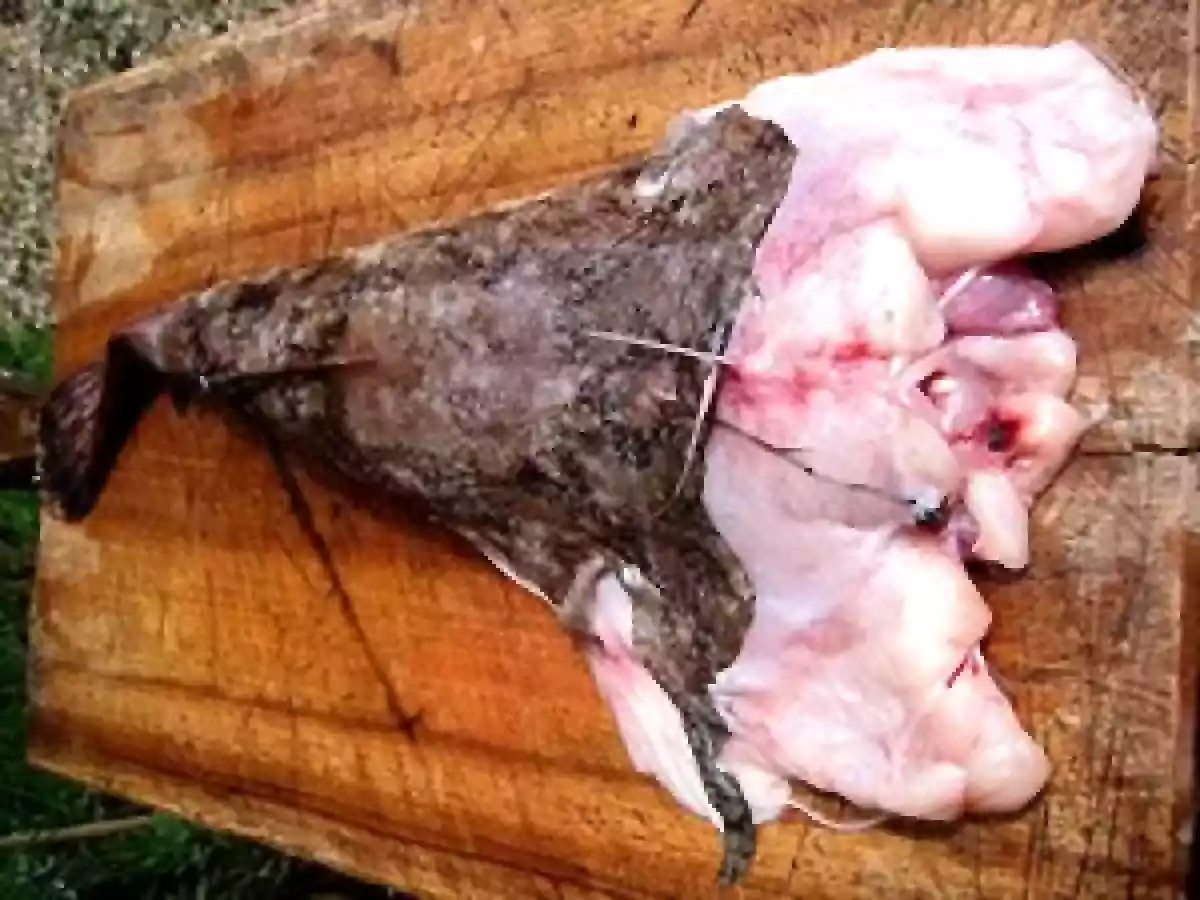Roti de lotte au lard fumé et farz noir croustillant - photo 3