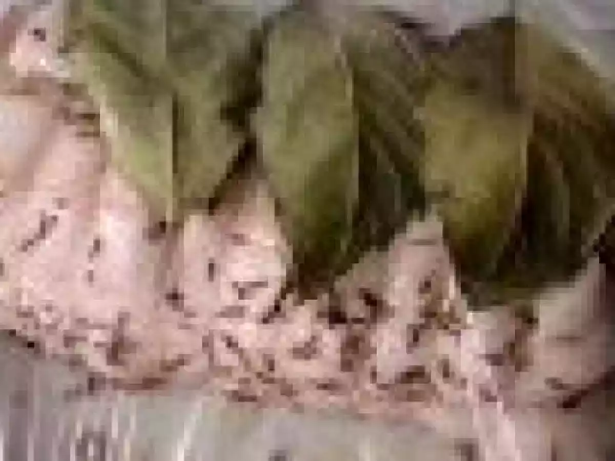 Rôti de palette à la cocotte et pommes de terre - photo 2