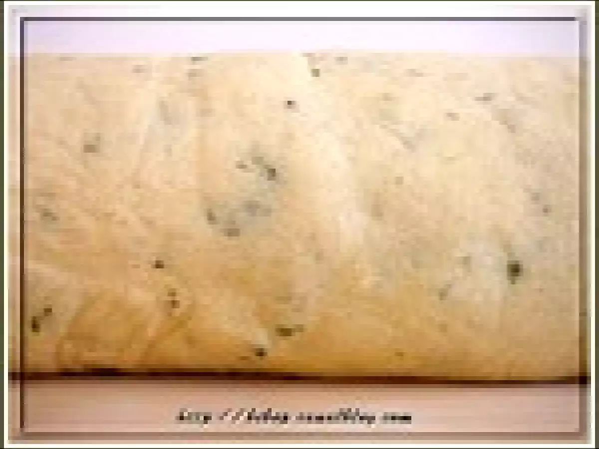 Roulade à la ricotta et au jambon - photo 6