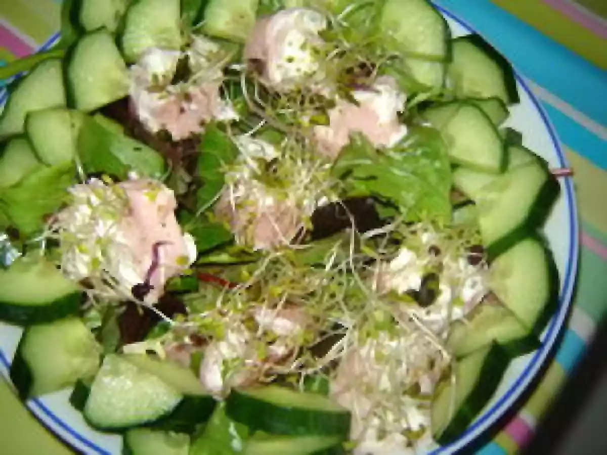 Roulé de jambon au chèvre frais et pistaches