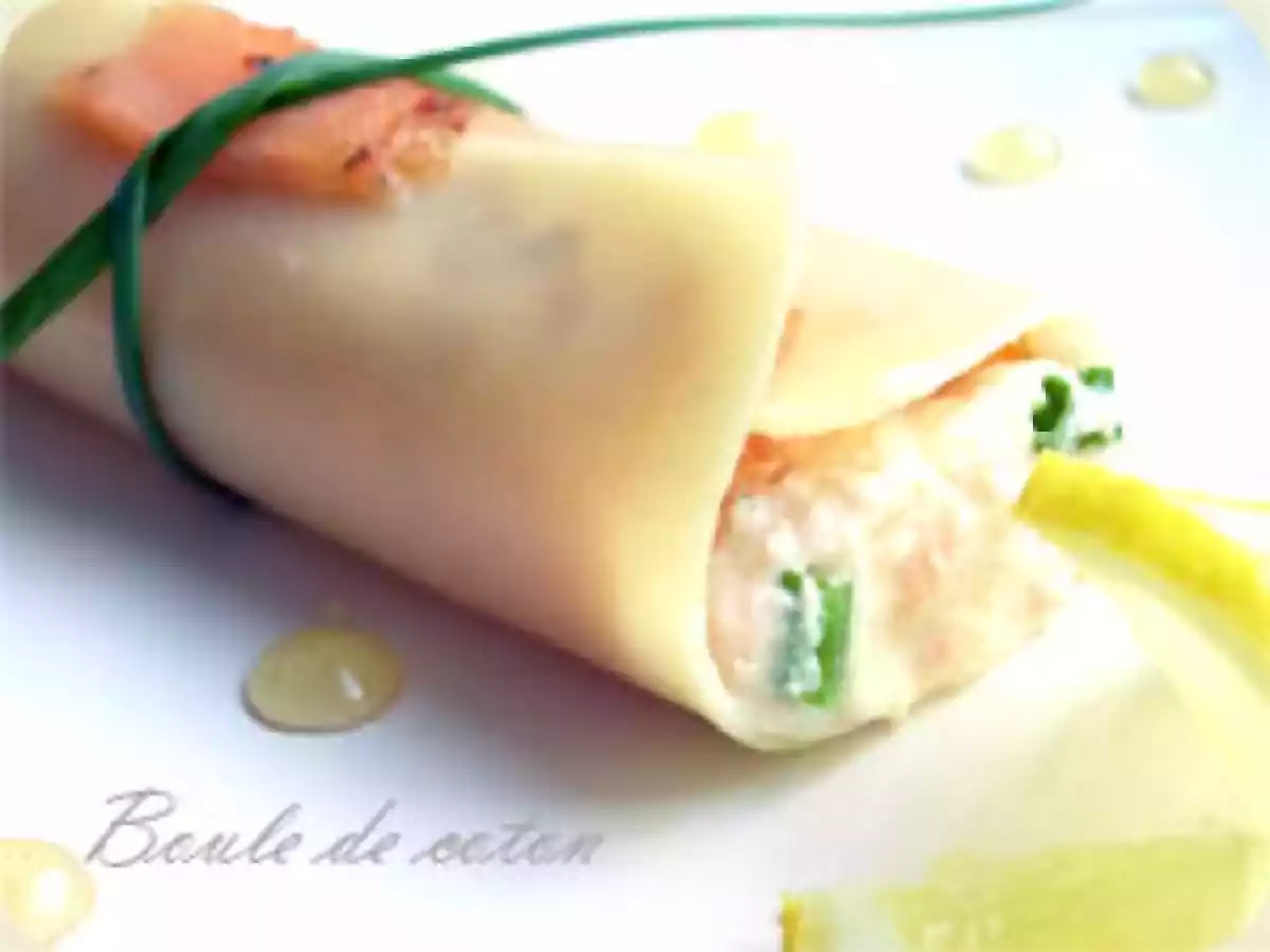 Rouleaux au deux saumons - photo 2