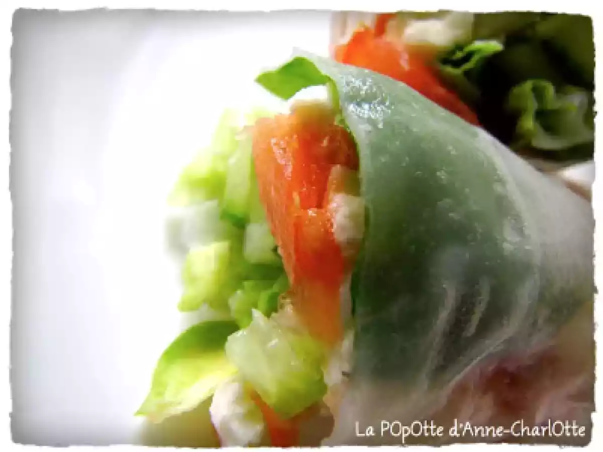 Rouleaux de Printemps à l'Italienne