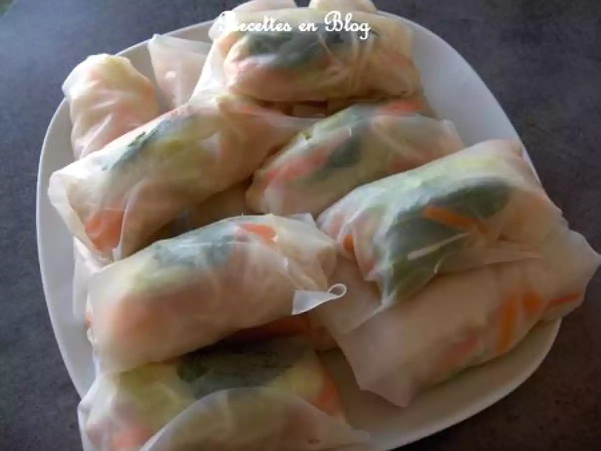 ROULEAUX DE PRINTEMPS BIS (PLUS RAPIDES)