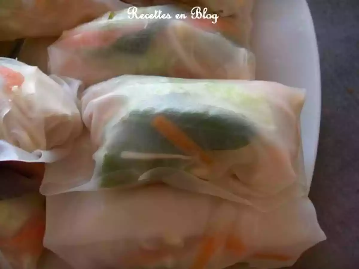 ROULEAUX DE PRINTEMPS BIS (PLUS RAPIDES) - photo 2