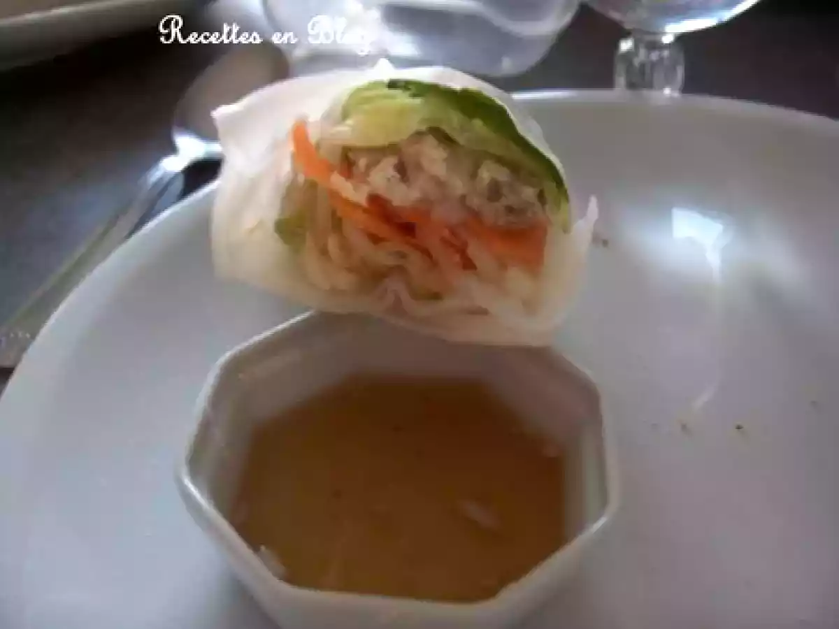 ROULEAUX DE PRINTEMPS BIS (PLUS RAPIDES) - photo 3