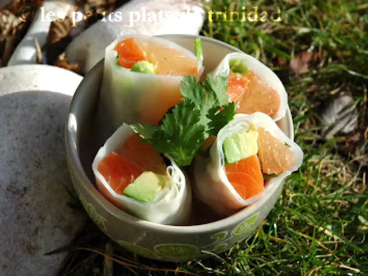 Rouleaux de saumon, avocat et pamplemousse