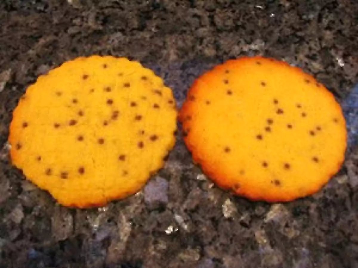 Sablés normands à l'orange et aux pépites de chocolat - photo 3