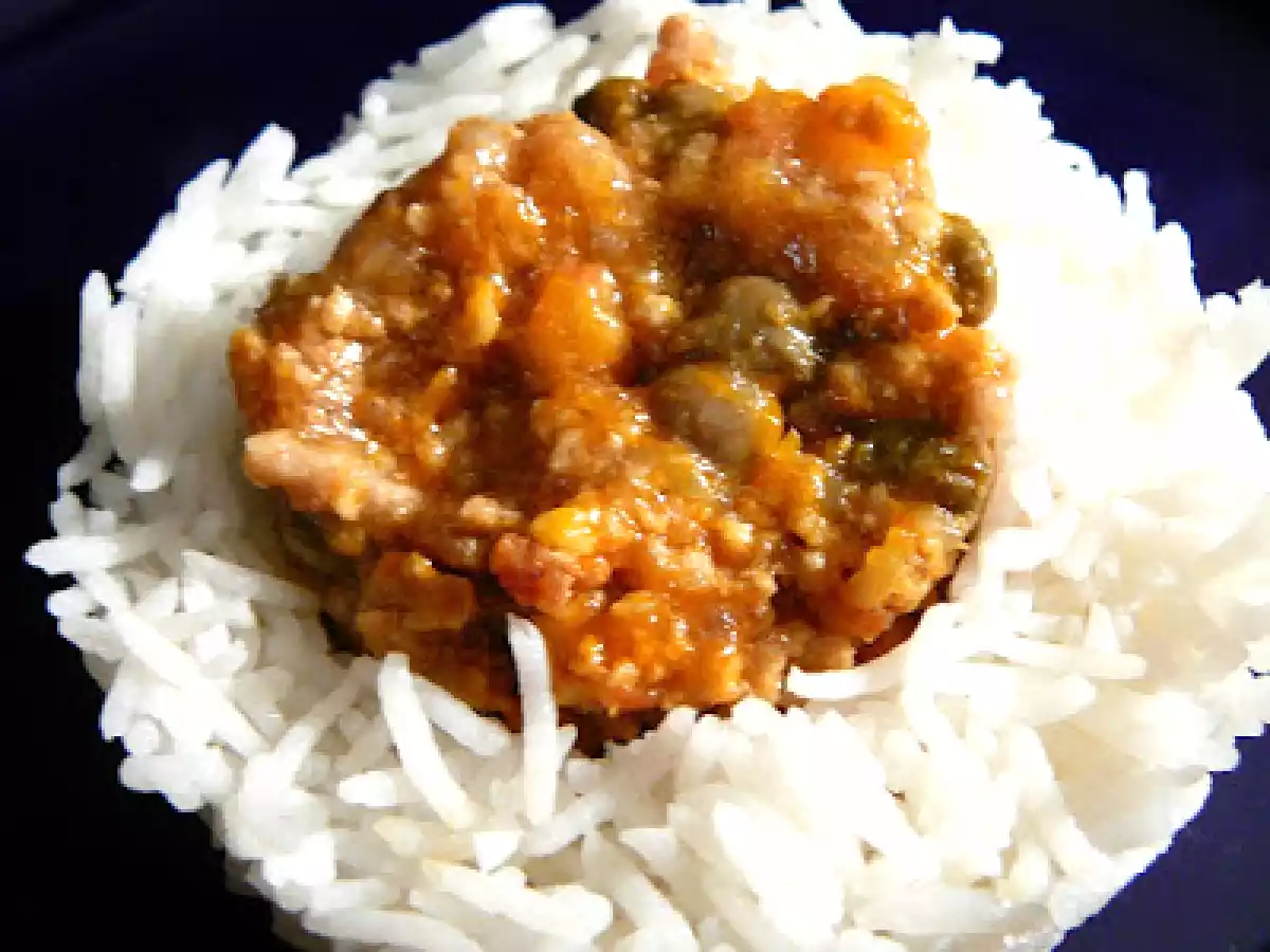 Sabut toor kheema salan - Curry de viande hachée