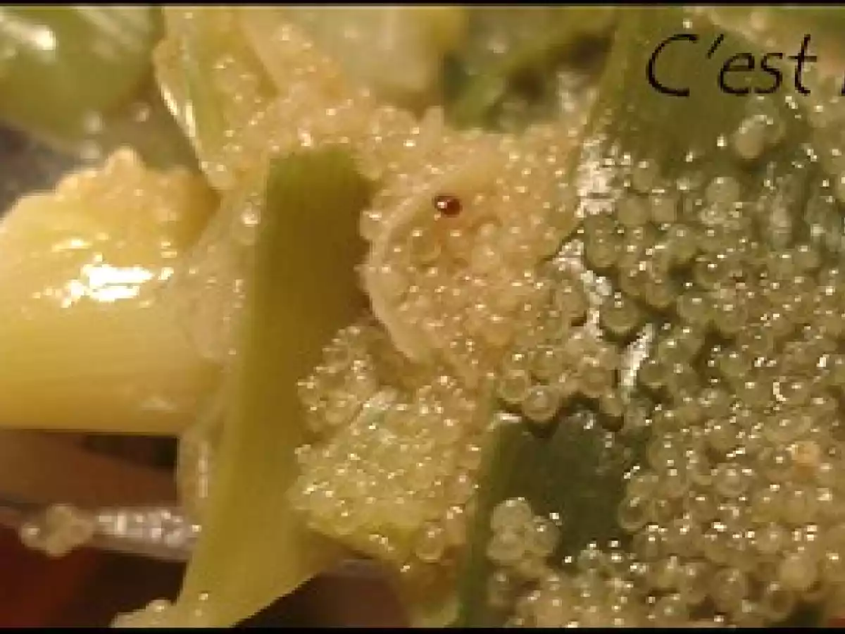 Saint-jacques, amarante et bouillon à la citronnelle - photo 3