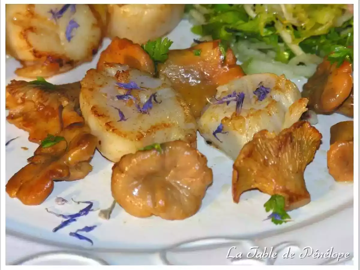 Saint-Jacques aux Girolles, Butternut et Salade Granny-Smith - photo 3