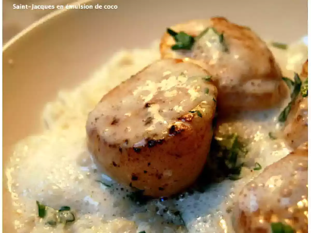 Saint-Jacques en émulsion de coco
