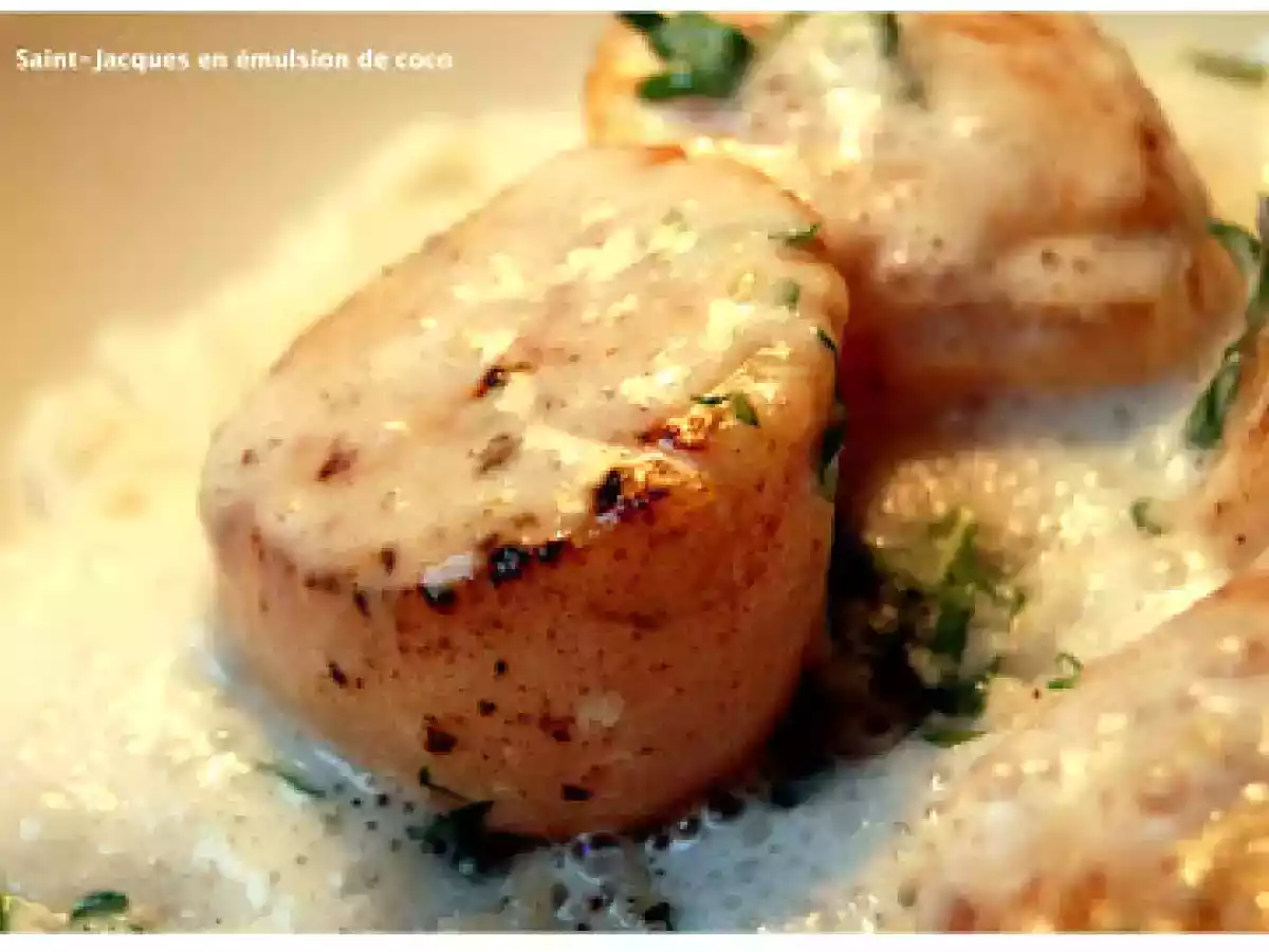 Saint-Jacques en émulsion de coco - photo 3