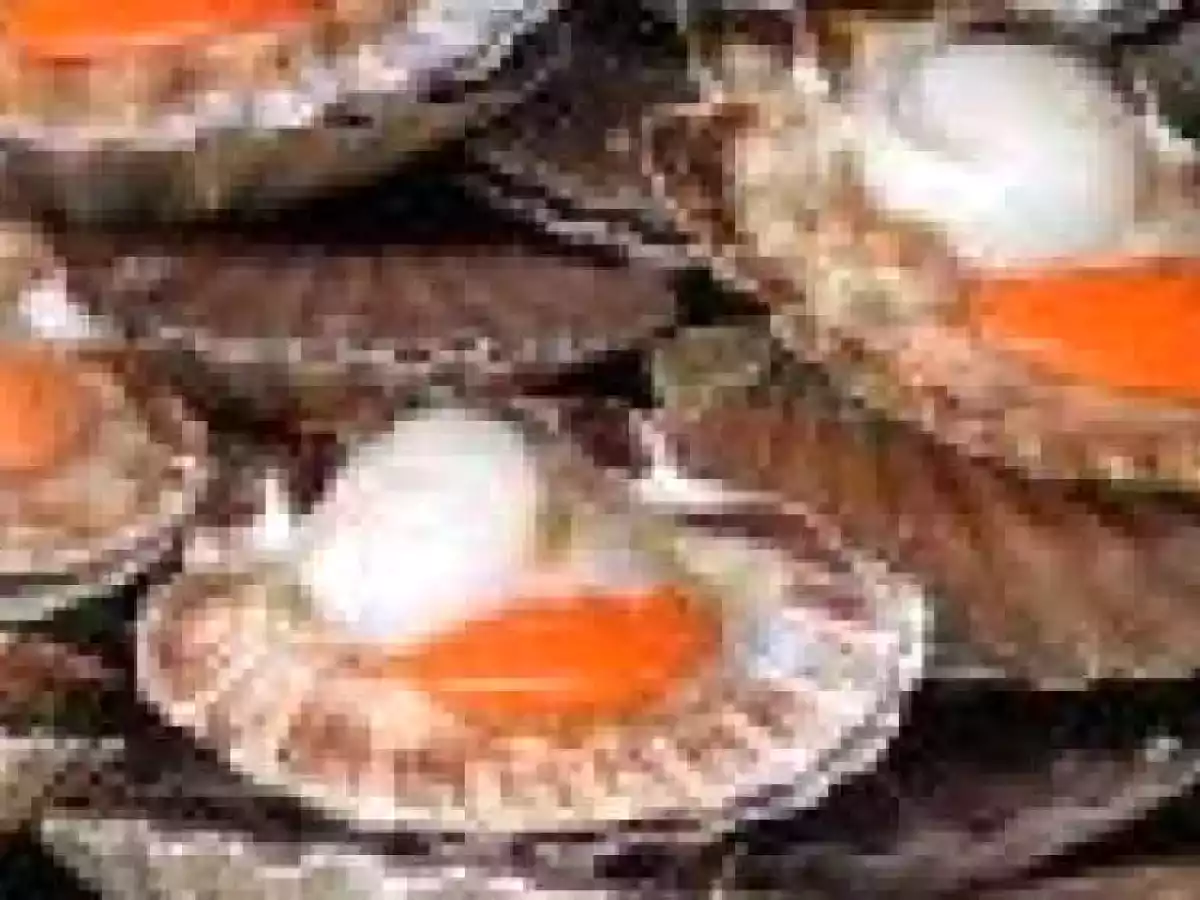 Saint Jacques et réduction dendives