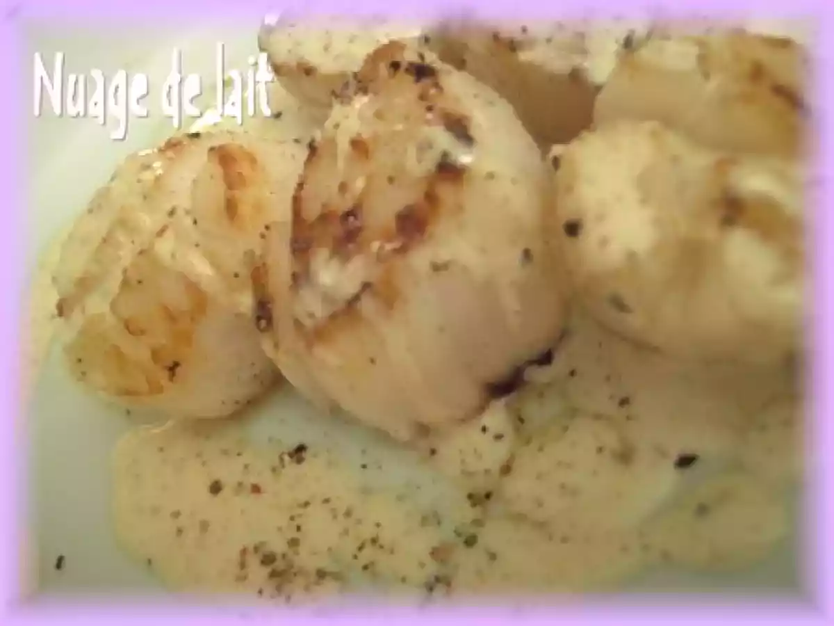 Saint-Jacques sauce Réglisse - photo 4