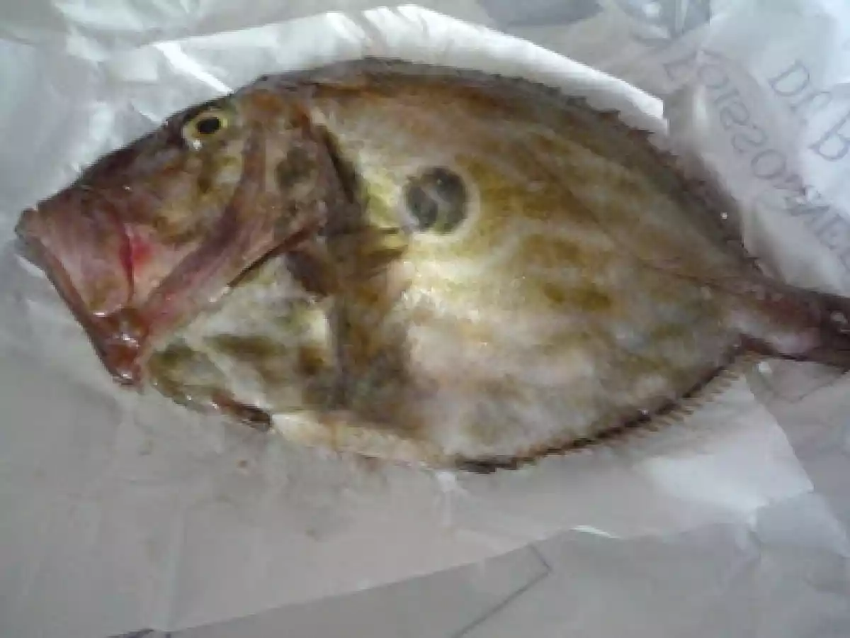 Saint Pierre au four - Sankt Petersfisch aus dem Ofen - photo 3
