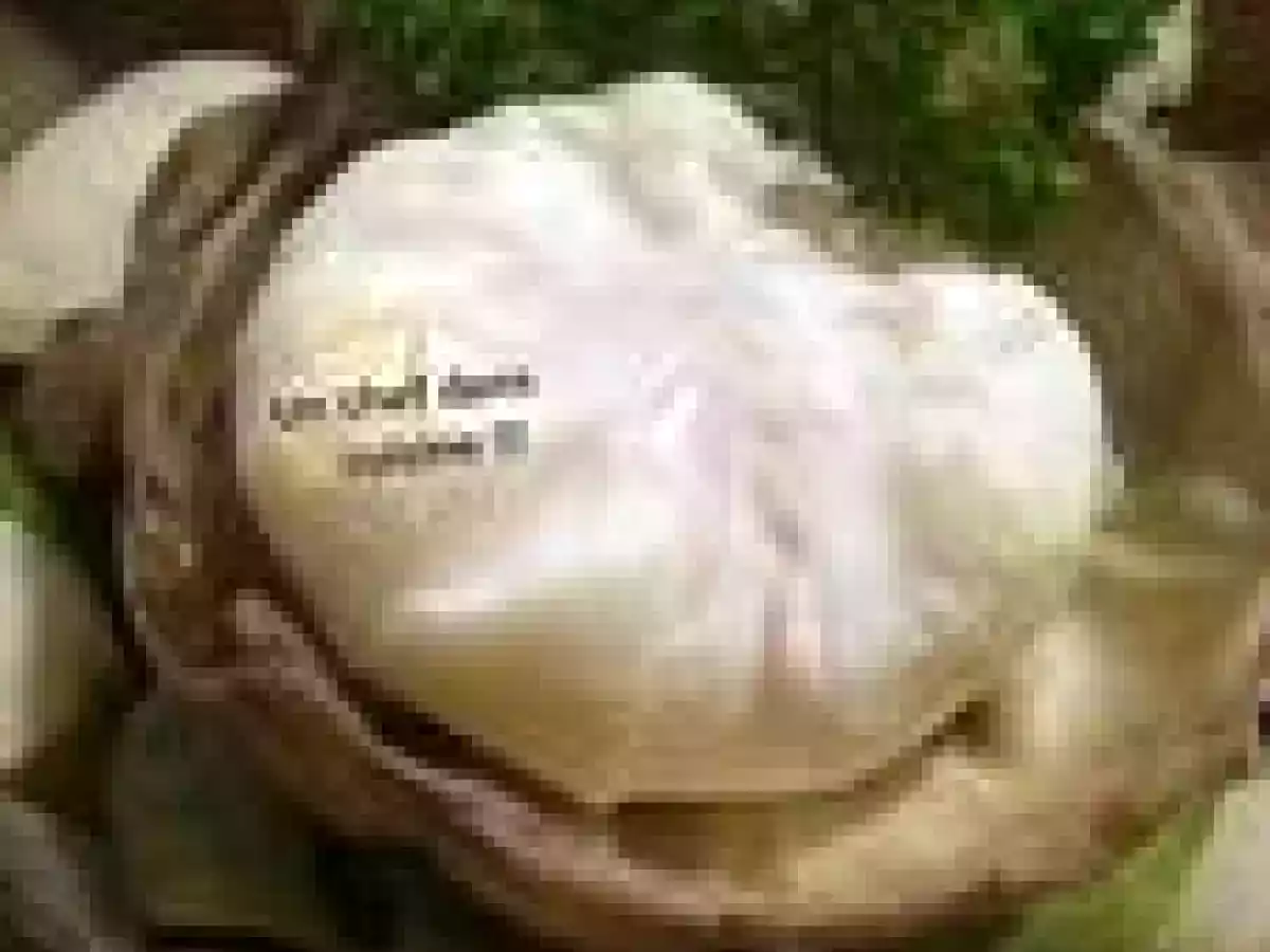 Salade Anne de Bretagne - photo 3