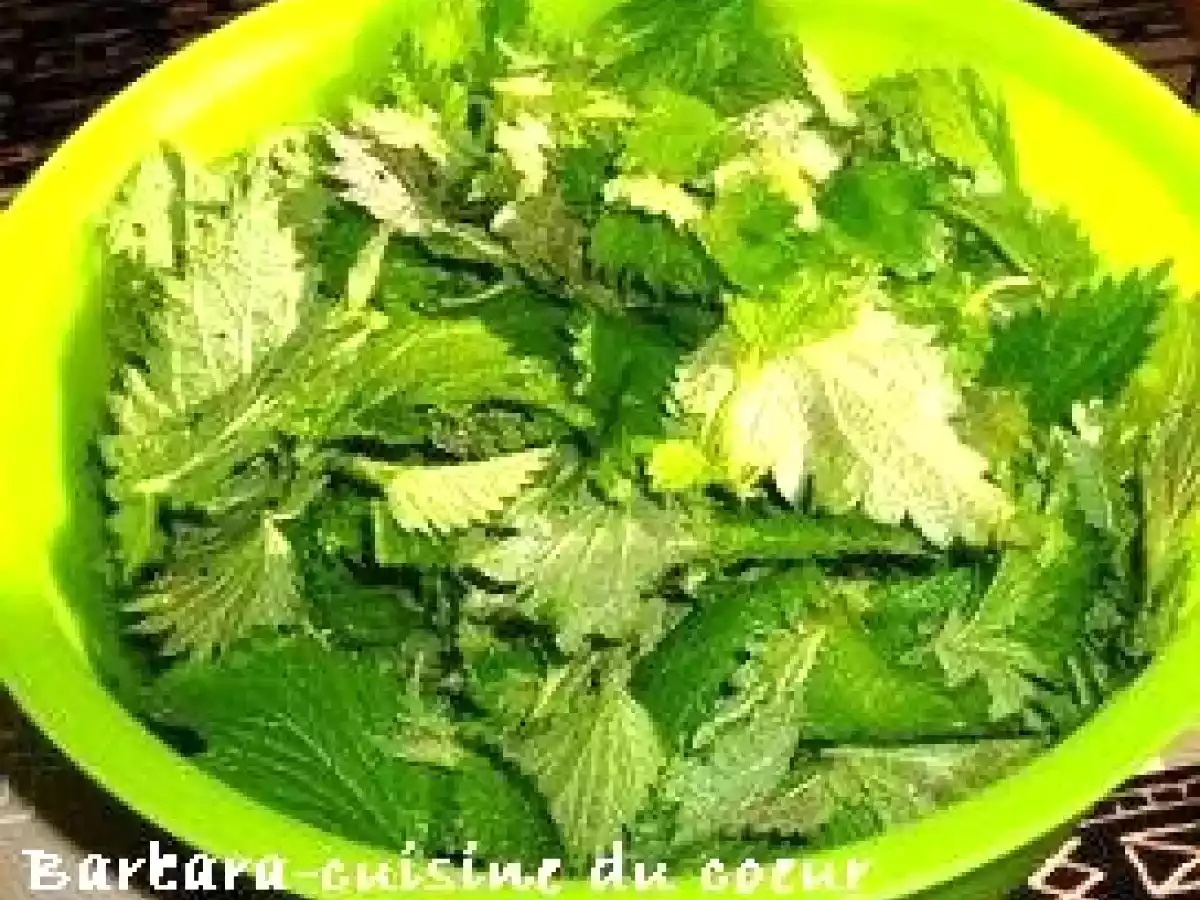 SALADE AUX ORTIES - photo 3