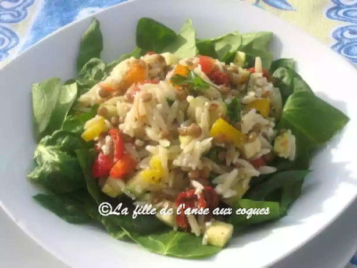 SALADE COLORÉE D?ORZO ET DE LENTILLES