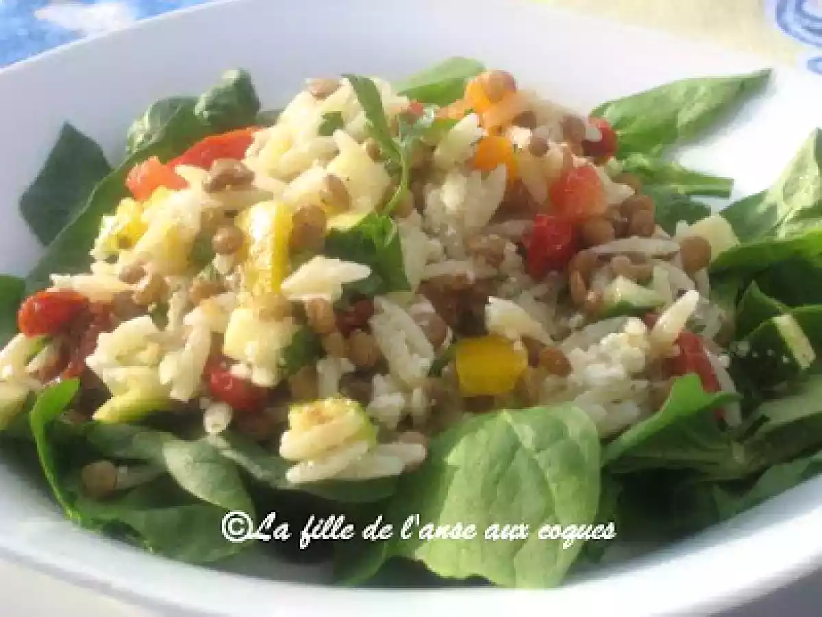 SALADE COLORÉE D?ORZO ET DE LENTILLES - photo 2