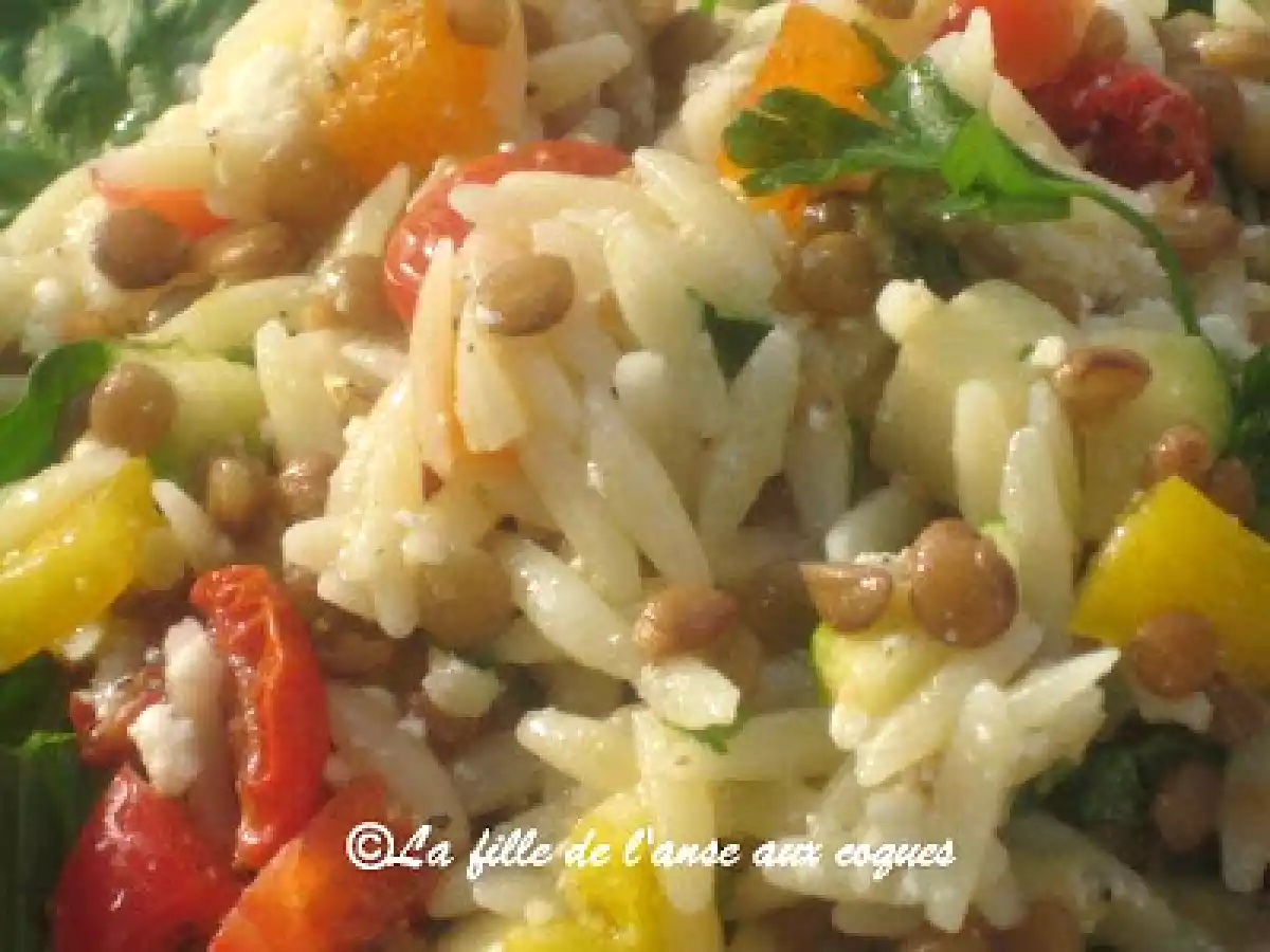 SALADE COLORÉE D?ORZO ET DE LENTILLES - photo 3