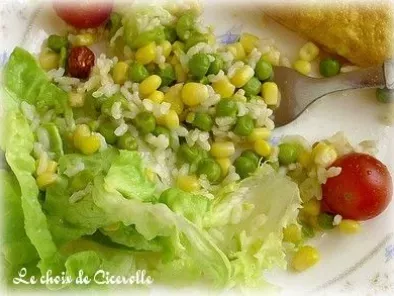 Salade composée multicolore, photo 2