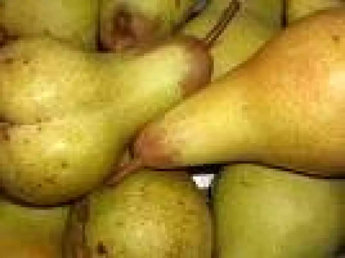 Salade d'endives, chèvre et poire - photo 2