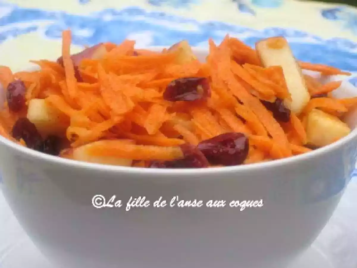 SALADE DE CAROTTES, CUMIN ET CANNEBERGES - photo 4