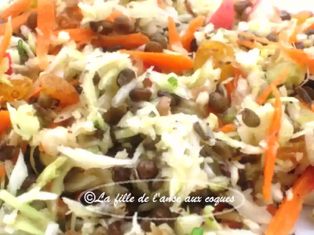 SALADE DE CHOU AUX LENTILLES ET AUX POMMES