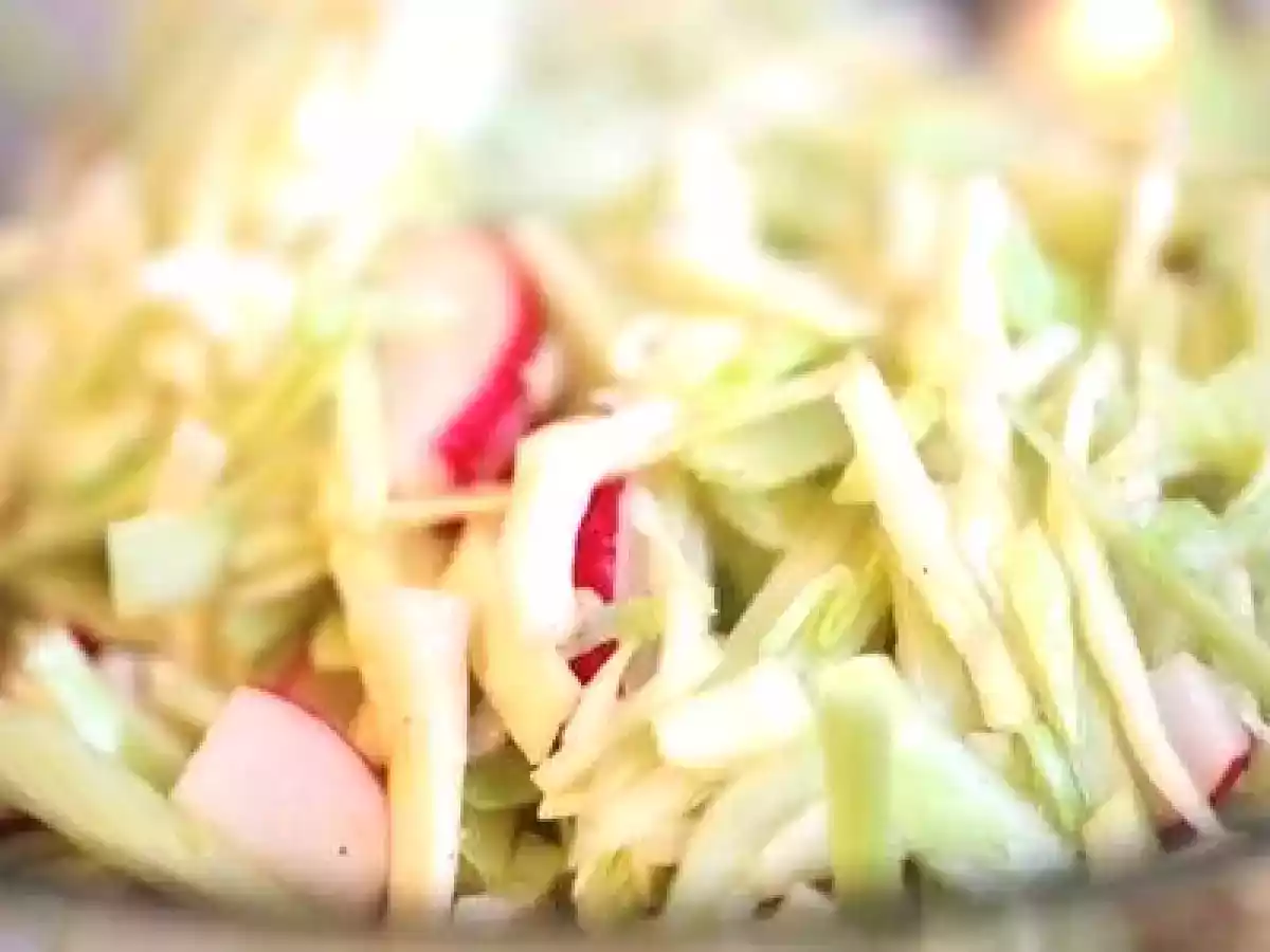 Salade de chou, fenouil et radis