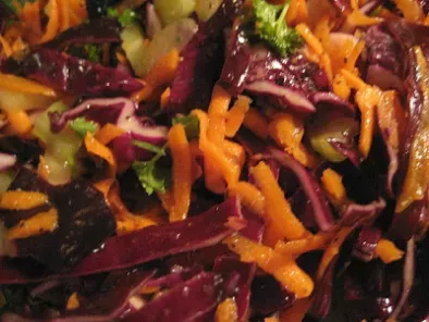Salade de chou rouge pour Anne de Ligne et papilles - photo 4