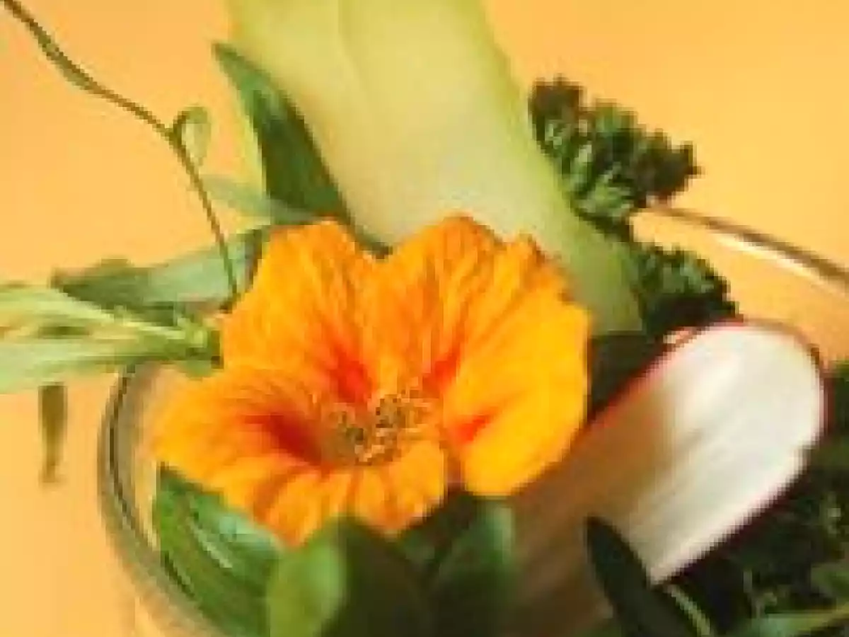 Salade de christophine - photo 6