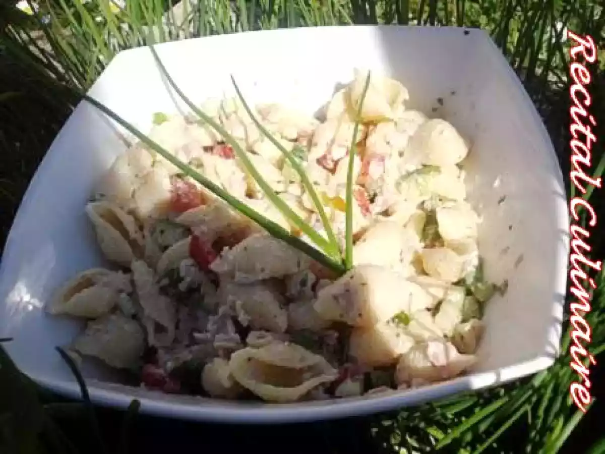 Salade de conchiglie rigate au tzatziki et au jambon